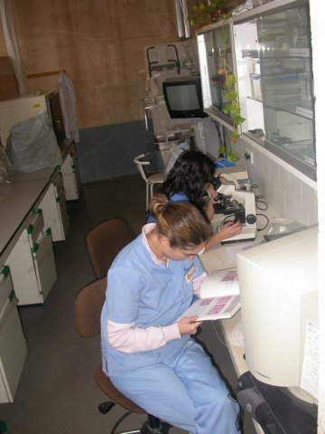 Voluntarios en el laboratorio de anatomía patológica